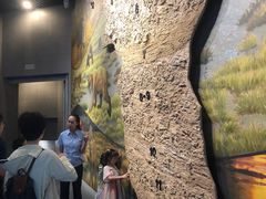 -北京周口店北京人遗址博物馆