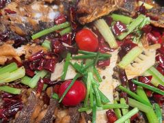 -老板恋上鱼(恒隆广场店)