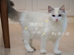 -爱侣宠医·鹦鹉专科·小型哺乳类·异宠专科(灵石路店)