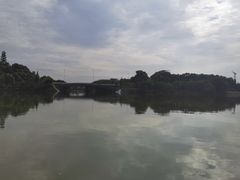 -华侨城湿地公园