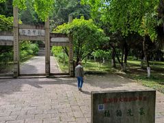 -镇江市南山风景名胜区竹林景区