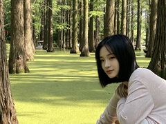 -渌洋湖湿地公园