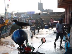 -尼甘布海鲜市场