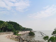 -深圳湾公园(南山区)