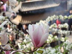-潭柘寺景区