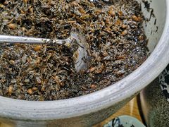 -江小菜酱菜(南京夫子庙步行街店)