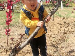 -永定河休闲森林公园