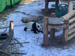 -沈阳森林动物园