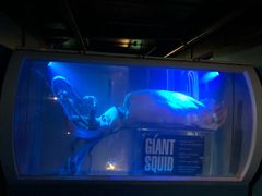 -凯莉-塔尔敦海洋生物水族馆