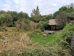 -深圳国际园林花卉博览园