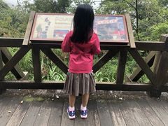 -阿里山神木遗迹