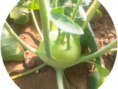 -百花人家(清水镇店)