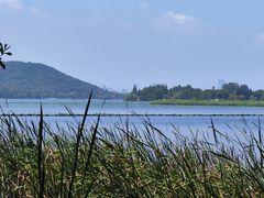 -东湖落雁景区