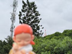 -闽江夜游台江旅游码头