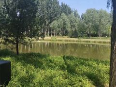 -东郊湿地公园