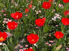 -杭州师范大学(下沙校区)