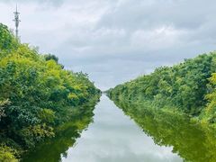 -黄海国家森林公园