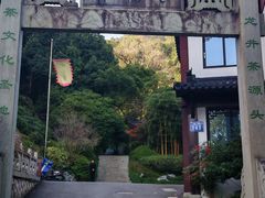 -十八棵（老龙井）御茶园(老龙井店)