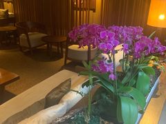 -台北北投丽禧温泉酒店