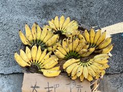 -西双版纳傣族园