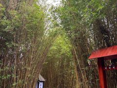 -森波拉火山温泉