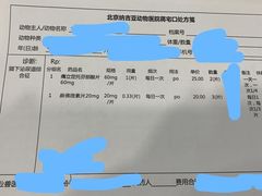 -纳吉亚猫专科动物诊疗中心(蒋宅口分院)