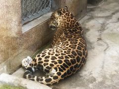 -西安秦岭野生动物园