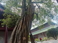 -南华禅寺
