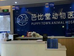 -芭比堂动物医院·24小时·眼科中心(深圳中心)