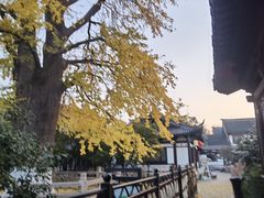 -常熟方塔园