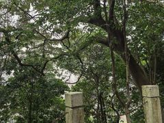 -小南山公园