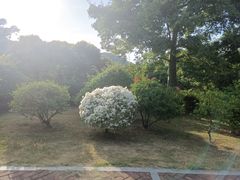 -东莞植物园