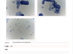 -奈斯宠物医院·核磁CT·异宠专科·内镜(中南店)