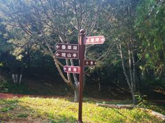 -云岗森林公园