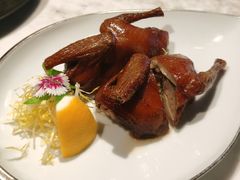 茶皇烟熏脆皮乳鸽-伯衡55·吉品轩(乌鲁木齐南路店)