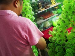 -万商花鸟市场