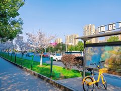 -永旺梦乐城(金银潭店)
