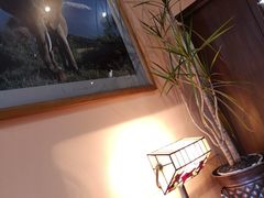 -大象咖啡馆