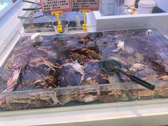 -集品鲜湾·蒸汽海鲜自助料理(青岛银座和谐广场店)