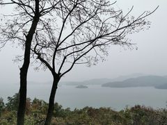 -天目湖涵田半山温泉