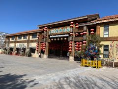 -南宫五洲植物乐园