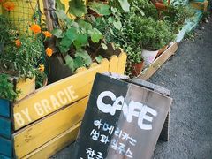 -春风十里咖啡馆