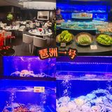 广州探店｜粤菜料理🍱