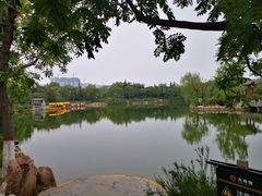-大槐树寻根祭祖园