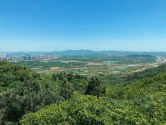 -南京市无想山景区