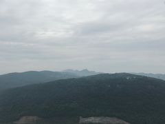 -铁山坪森林公园