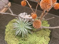 -炊江南·上海菜(国展华漕店)