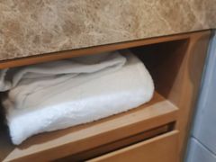 -麗枫酒店(广州天河客运站地铁站店)