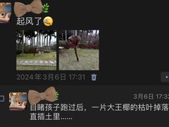 -金砂公园