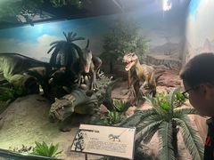 -国家自然博物馆